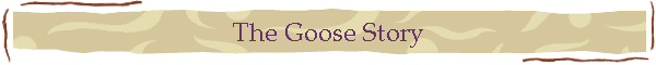 The Goose Story
