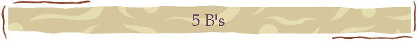 5 B's